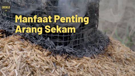 Teknik Pembuatan Arang Sekam - raincitystudios.com