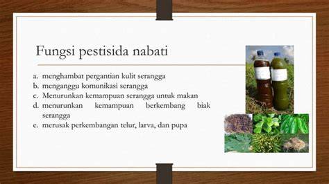Teknik Pembuatan Pestisida Nabati - raincitystudios.com