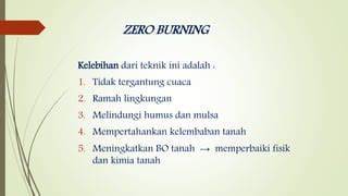 Teknik Pembukaan Lahan Zero Burning - raincitystudios.com