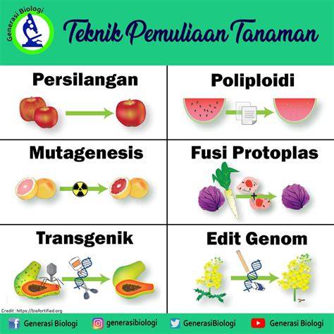 TEKNIK PEMULIAAN TANAMAN - AGROSWAMP - raincitystudios.com