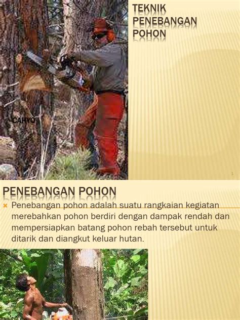 Teknik Penebangan dan Penyadaran - balustradellc