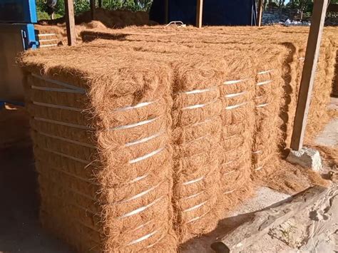 Teknik Pengolahan Sabut Kelapa yang Ramah Lingkungan - balustradellc