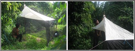 Teknik Perangkap Malaise dalam Inventarisasi Serangga - balustradellc