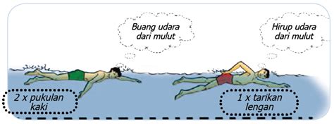 Teknik Pernafasan Dalam Renang - balustradellc