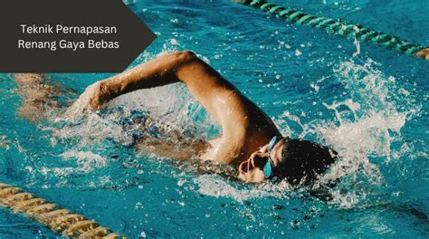 Teknik Pernapasan dalam Renang untuk Meningkatkan Performa - - balustradellc