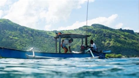 Teknik rahasia pemancing #udang #nelayan #laut #jaring #ikan … - balustradellc