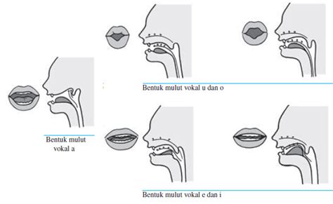 Teknik Vokal Intonasi - balustradellc