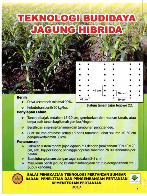 Teknologi Budidaya Jagung Hibrida | PDF - Scribd - balustradellc