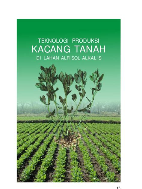 TEKNOLOGI BUDIDAYA KACANG TANAH - balustradellc