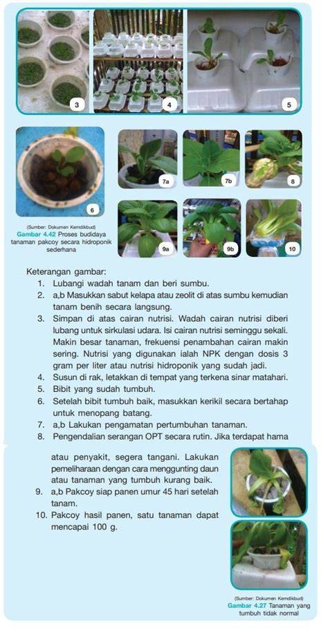 Teknologi multiplikasi vegetatif tanaman budi daya - Pertanian - raincitystudios.com