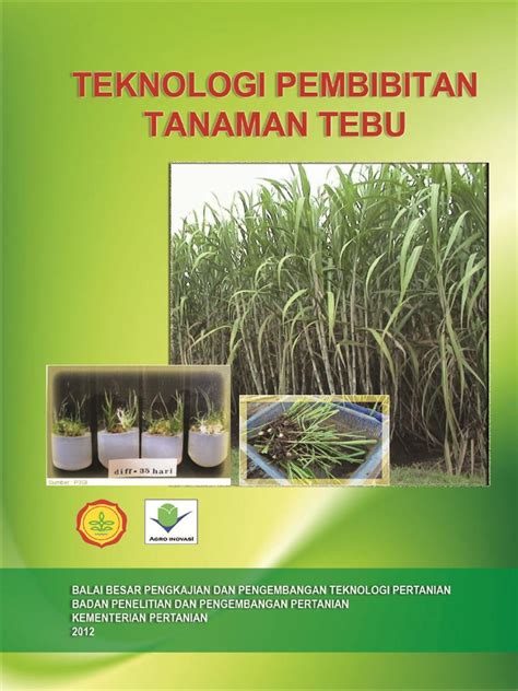 Teknologi Pembibitan Tanaman Tebu - Pertanian - balustradellc
