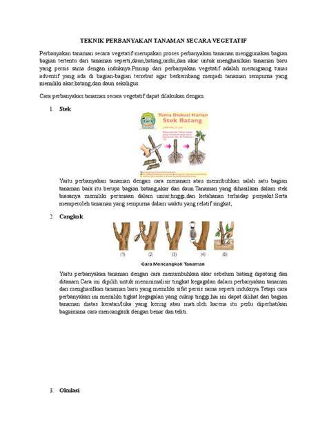 TEKNOLOGI PERBANYAKAN TANAMAN - raincitystudios.com