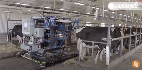 Teknologi Sapi Modern, Bisa Bantu Perah Susu … - balustradellc