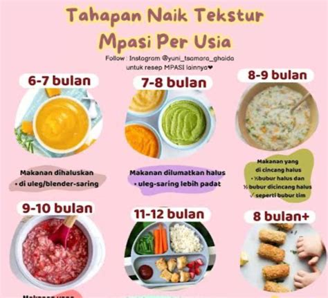Tekstur MPASI 6 Bulan dan Resepnya - Alodokter - balustradellc