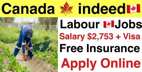 TELMA ANTSIRABE Careers and Employment in Canada Indeed.com