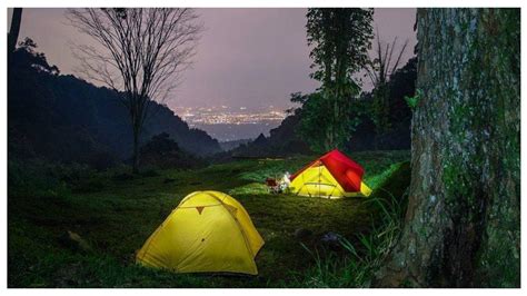 Tempat Camping Luas, Adem, dan Syahdu di Bogor … - balustradellc