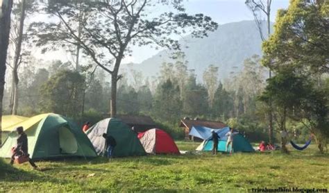 Tempat Camping Ramah Anak - Highland Camp - balustradellc
