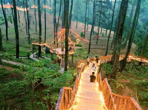 Tempat Healing Magis di Orchid Forest Cikole - raincitystudios.com