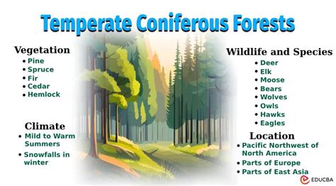 Temperate coniferous forests | Environmental Sciences - EBSCO - raincitystudios.com