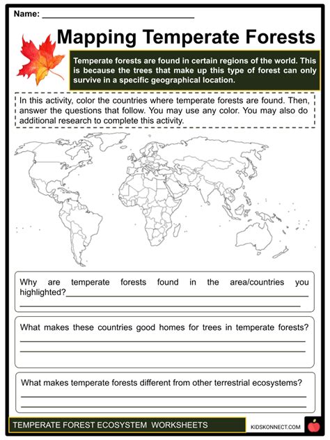 Temperate forest - muktibox.com