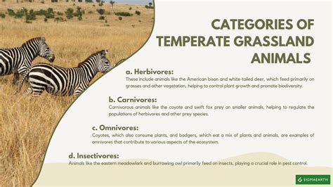 Temperate Grasslands: Climate, Vegetation, Animals - muktibox.com