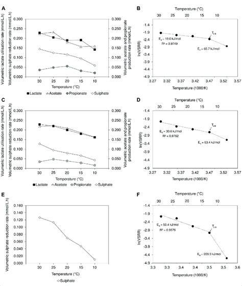 Temperature dependency of metabolic rates in the … - raincitystudios.com