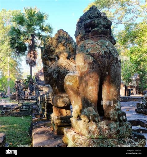 Temple Guardian Lions - 68 For Sale on 1stDibs - balustradellc