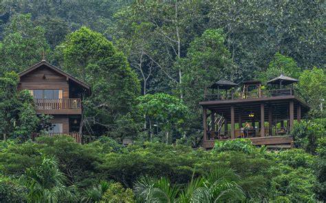 Templer Park Rainforest Retreat - Escape the Concrete … - raincitystudios.com