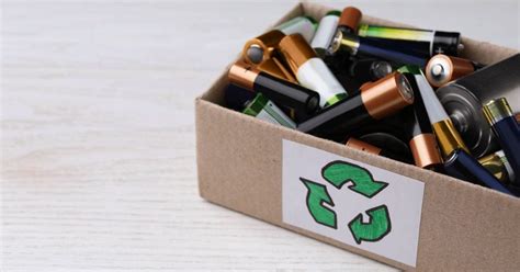 Temu Agrees to Fund Waste Disposal in Denmark - raincitystudios.com