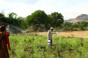 Ten low-cost irrigation techniques - Engineering For … - raincitystudios.com