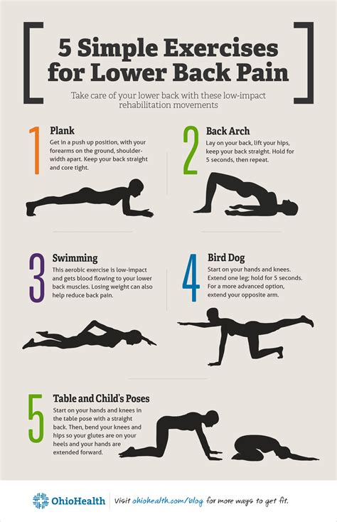 Ten Lower Back Pain Exercises in 15 Minutes - Spine Info - balustradellc