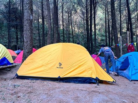 Tenda Ideal untuk Camping di Ketinggian yang Berbeda - balustradellc