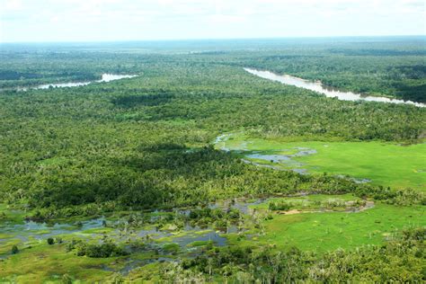 TENGGELAMNYA LAHAN BASAH - wintechmobiles.com