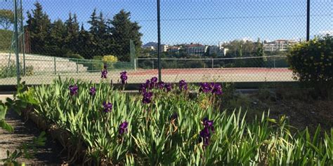 TENNIS CLUB FIELDING - Nice