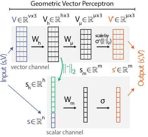 Tensor field - wintechmobiles.com