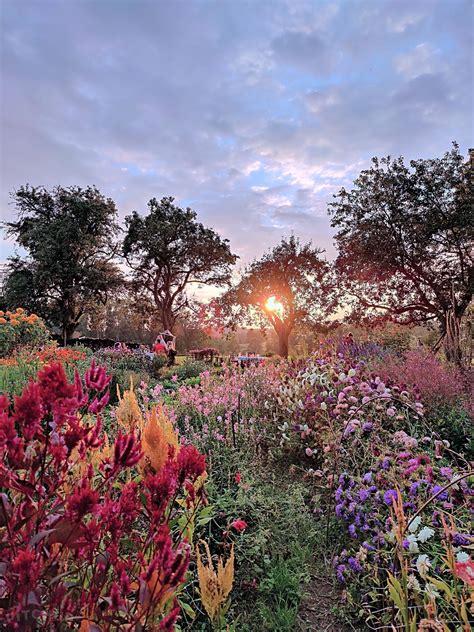 Tent Campsites in Austria 2026 from £17/nt - balustradellc