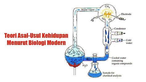 Teori Asal-Usul Kehidupan Menurut Biologi Modern - balustradellc
