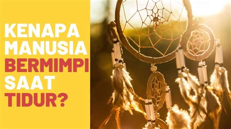 Teori Mimpi dalam Psikologi - balustradellc