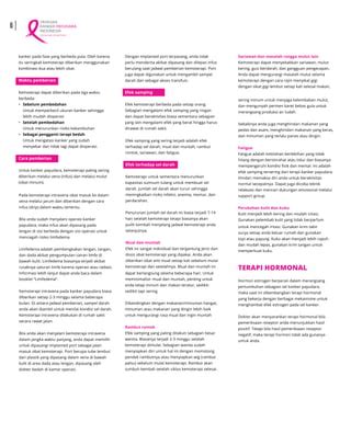 Terapi Berbasis Target untuk Kanker Payudara - - wintechmobiles.com