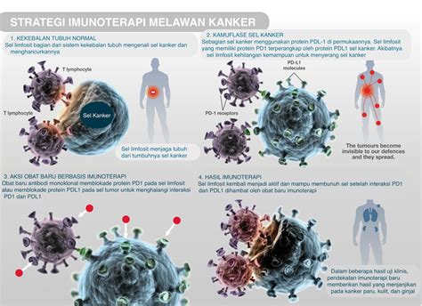 Terapi Target dan Imunoterapi untuk Kanker Paru - Parkway Cancer - wintechmobiles.com