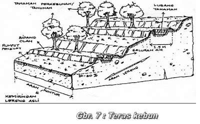 Teras Kebun Sesuai Kemiringan Lahan - raincitystudios.com