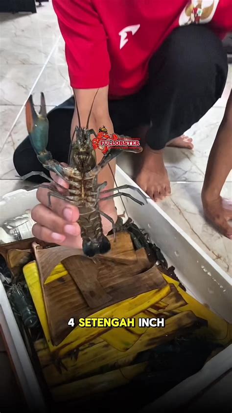 Terima kasih kepada Mitra asal Lamongan, Jawa Timur Atas ... - balustradellc