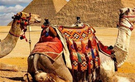 Terkuak, Misteri Abadi Piramida Mesir, Makam - balustradellc