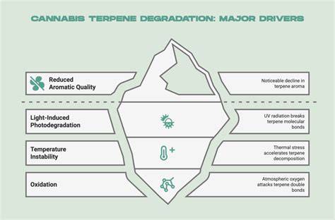 Terpene - raincitystudios.com