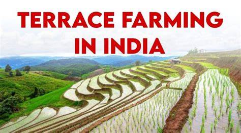 Terrace Farming | Overview & Research Examples - raincitystudios.com