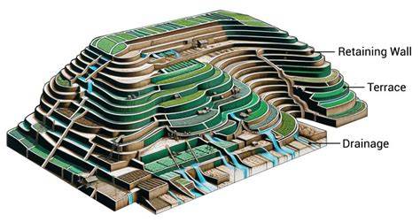 Terrace Farming for Better Water Management in Agriculture - raincitystudios.com