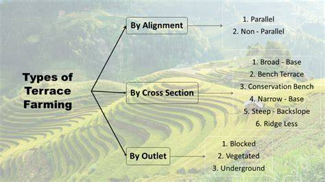 Terrace Farming in India: A Complete Guide - raincitystudios.com