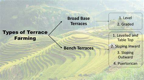 Terrace Farming in India and its Types - BharatAgri Gyan - raincitystudios.com