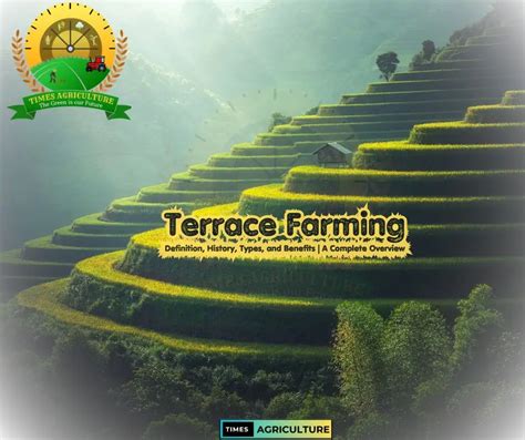 Terrace Farming - The Inca - wintechmobiles.com