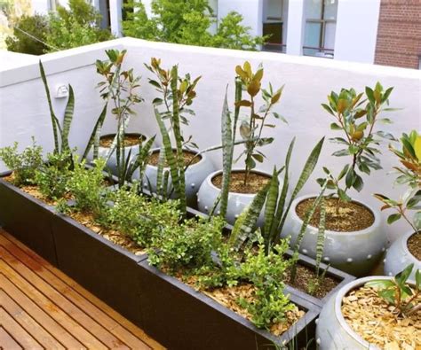 Terrace Gardening Guide: Best Planters for Rooftop Gardens - balustradellc